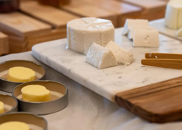 Pet Friendly hotel: Octant Evora